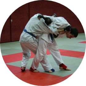 Ici nous voyons une personne qui fait une prise de judo à une autre personne